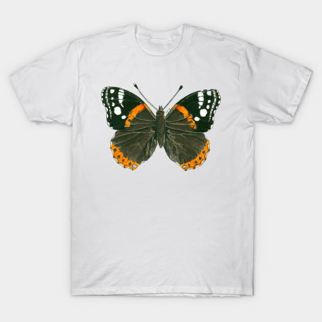 Admiral butterfly ink illustration T-Shirt by katerinamk